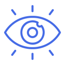 Vision